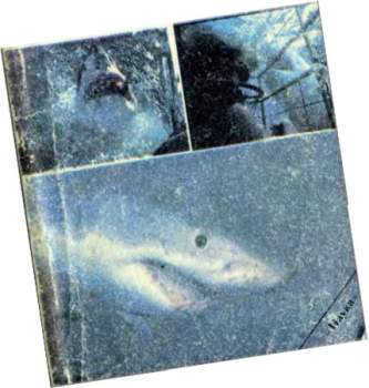 Н.А.Мягков - Акулы. Мифы и реальность